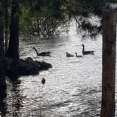 Review photo of Mistletoe State Park Campground by Christy F., May 23, 2021