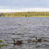 Review photo of Mistletoe State Park Campground by Christy F., May 23, 2021