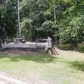 Review photo of Mistletoe State Park Campground by Christy F., May 23, 2021