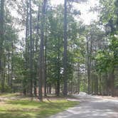 Review photo of Mistletoe State Park Campground by Christy F., May 23, 2021