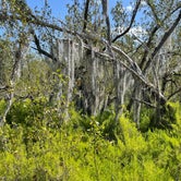 Review photo of Flamingo Campground — Everglades National Park by alan , May 23, 2021