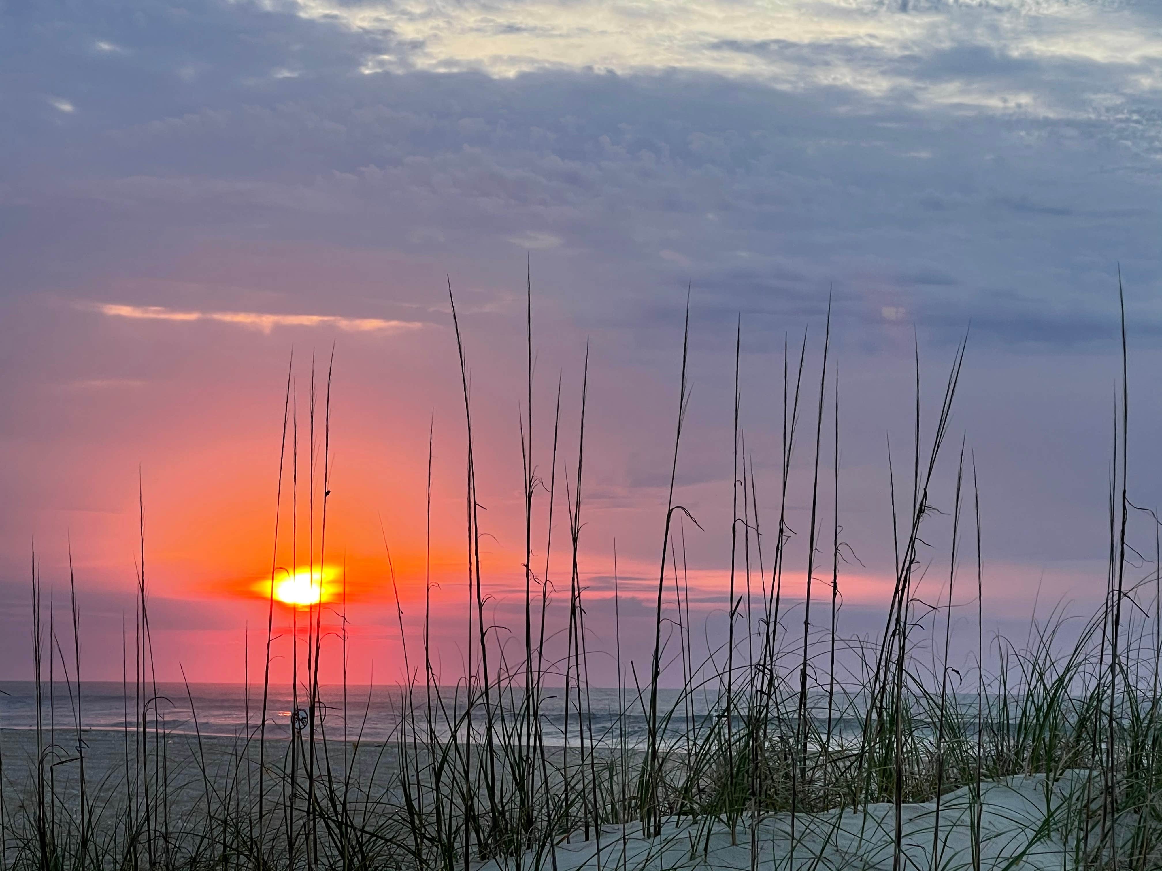Jason D.'s photo of a dispersed camping area at South Core Banks -- Beach Camping — Cape Lookout National Seashore near Marshallberg, NC