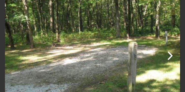 Camper submitted image from Tippecanoe River State Park Campground