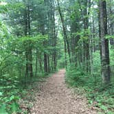 Review photo of Tippecanoe River State Park Campground by Michelle  M., May 23, 2021