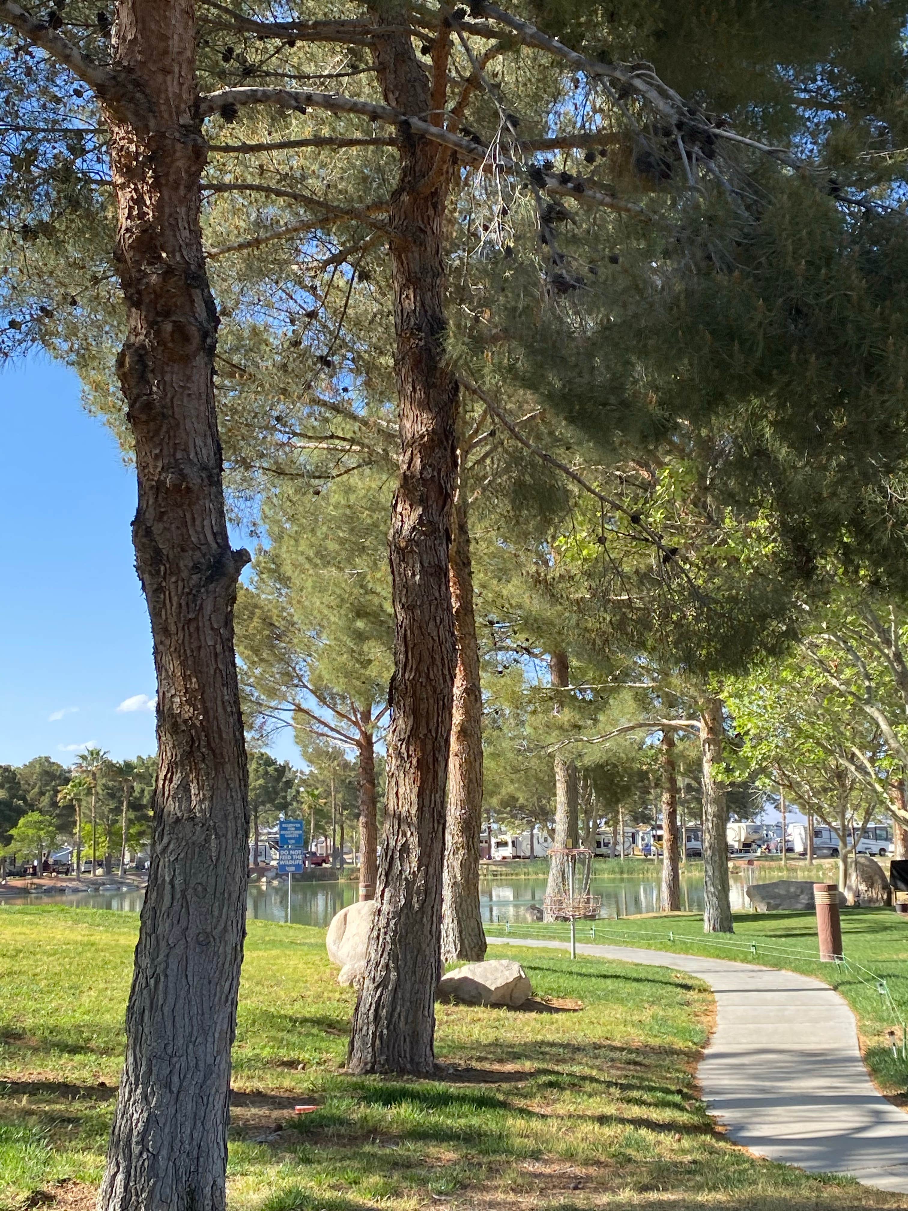 Camper-submitted photo at Lakeside Casino & RV Resort near Tecopa, CA