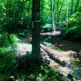 Review photo of Indian-Celina Recreation Area by Shelly S., June 5, 2018