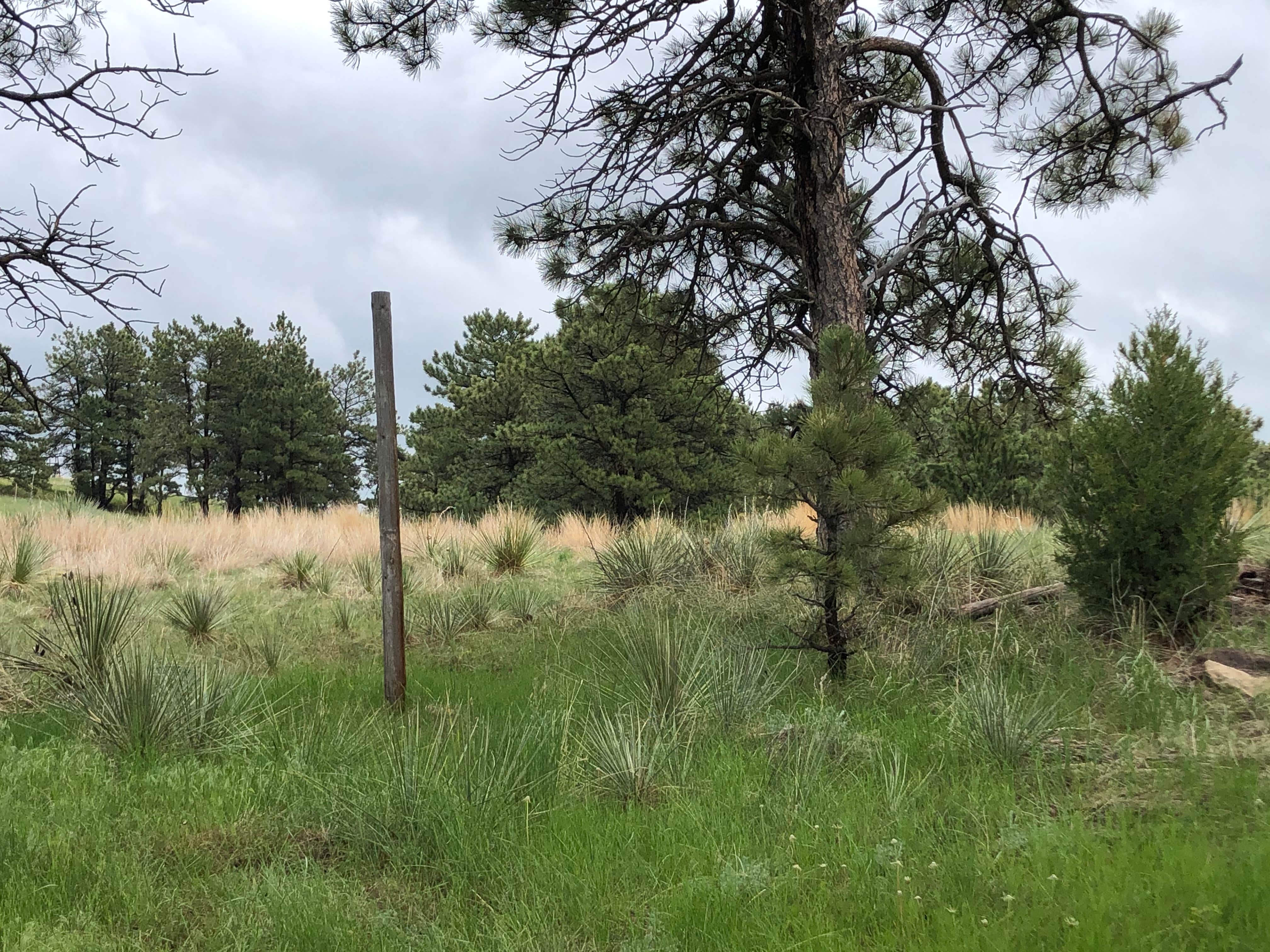 Oliver Reservoir State Recreation Area / Oliver Reservoir State Recreation Area In Bushnell Expedia : Maybe you would like to learn more about one of these?