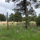 Review photo of Wildcat Hills State Recreation Area by N I., May 23, 2021