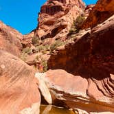 Review photo of Red Cliffs Campground by Whitney K., May 23, 2021