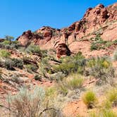 Review photo of Red Cliffs Campground by Whitney K., May 23, 2021