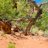 Review photo of Red Cliffs Campground by Whitney K., May 23, 2021