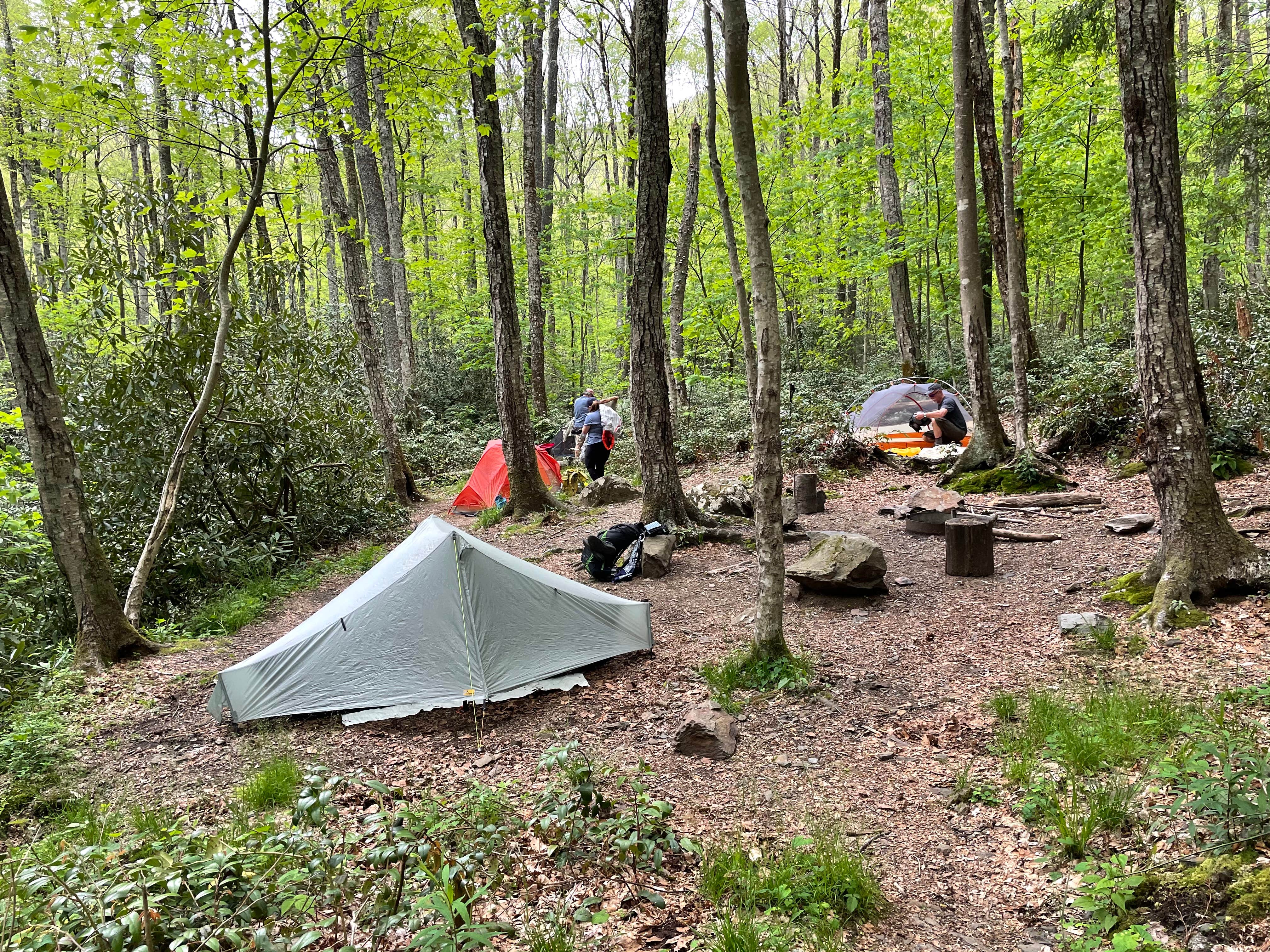 Daniel S.'s photo of tent camping at 28 Marks Cove near Louisville, TN