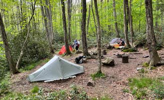 Daniel S.'s photo at 28 Marks Cove near Great Smoky Mountains National Park
