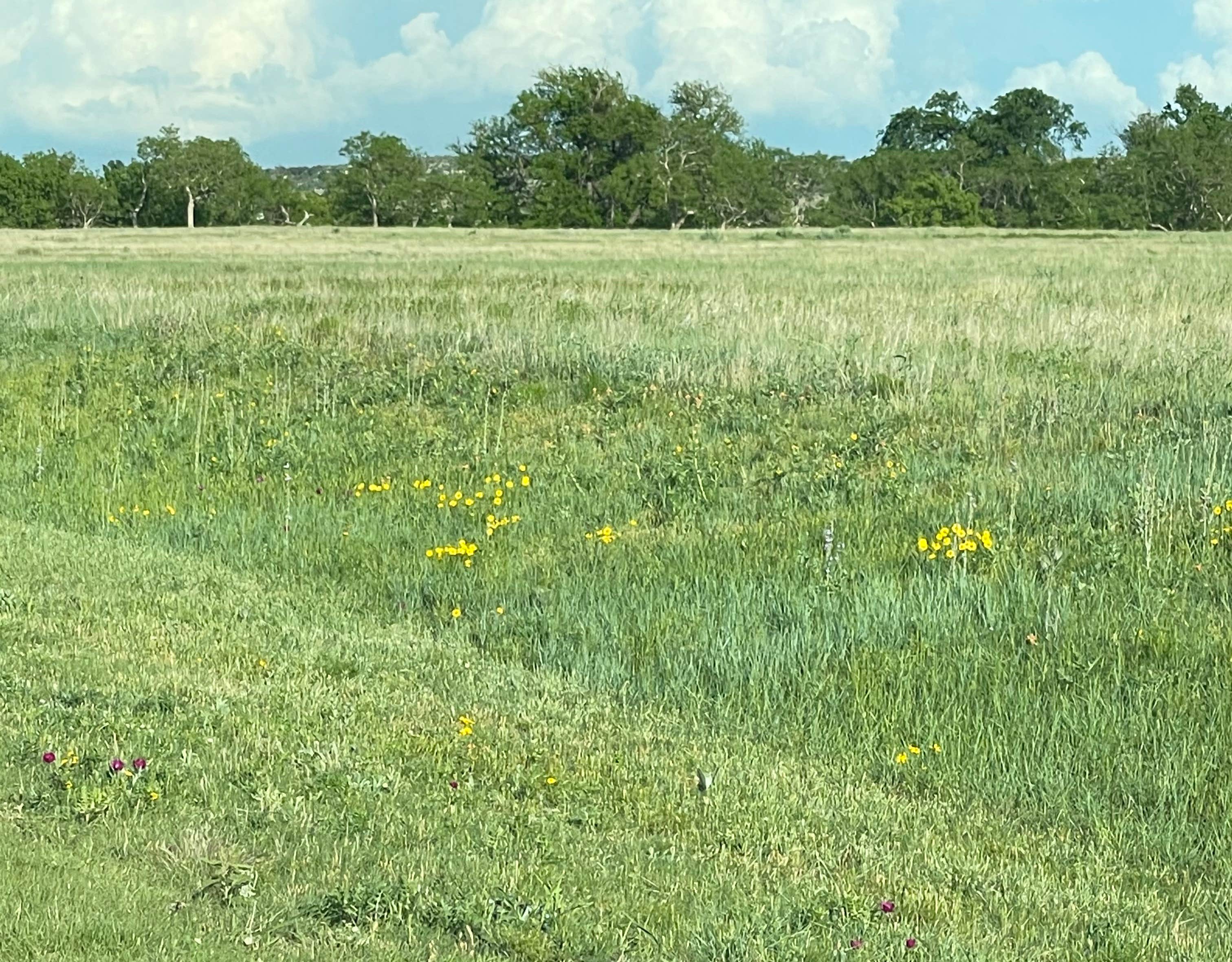 Wolf Creek Park Perryton Camping Perryton, TX