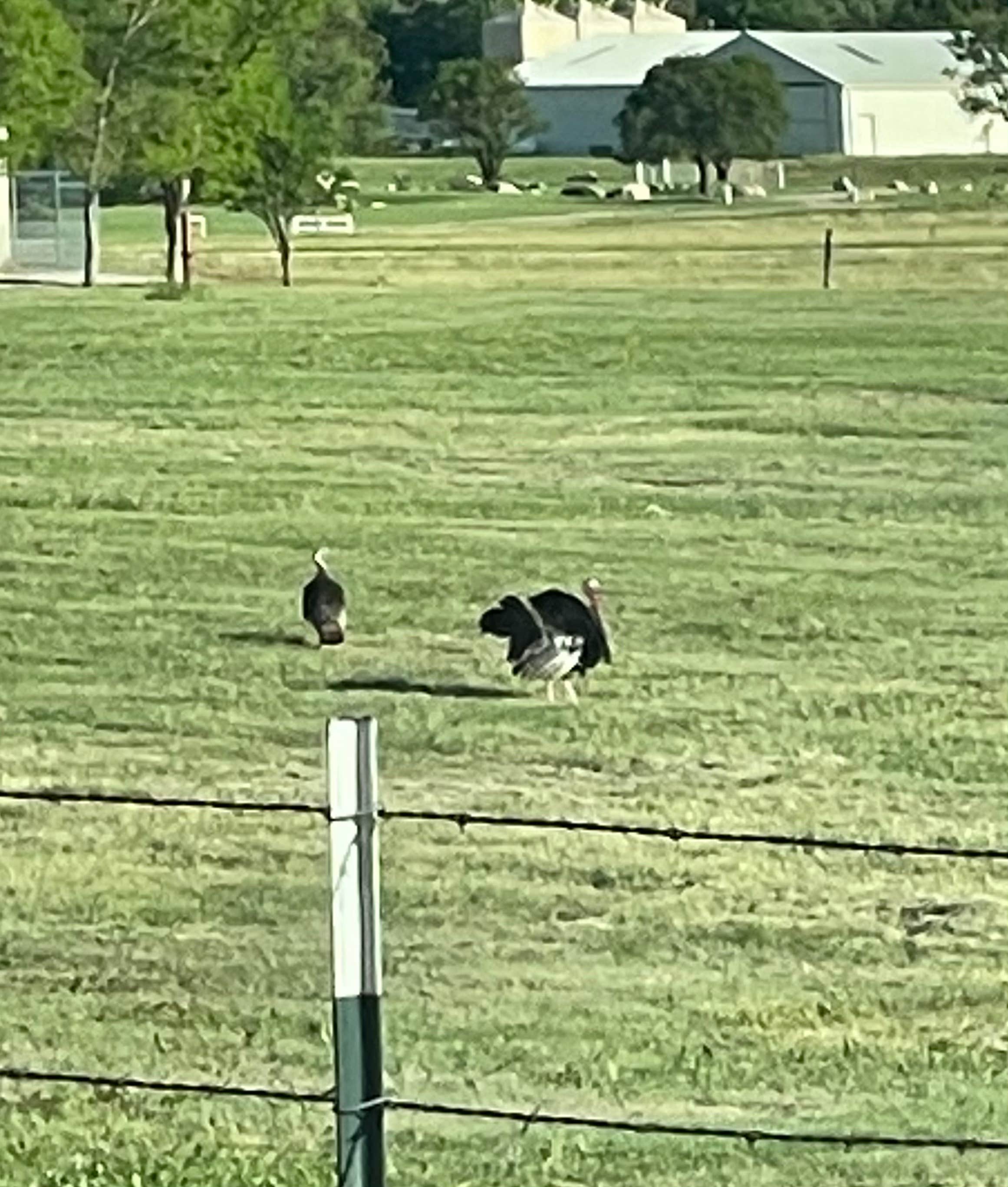 Camper-submitted photo at Wolf Creek Park - Perryton near Canadian, TX