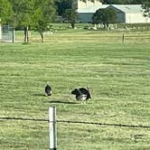 Review photo of Wolf Creek Park - Perryton by Helen P., May 23, 2021