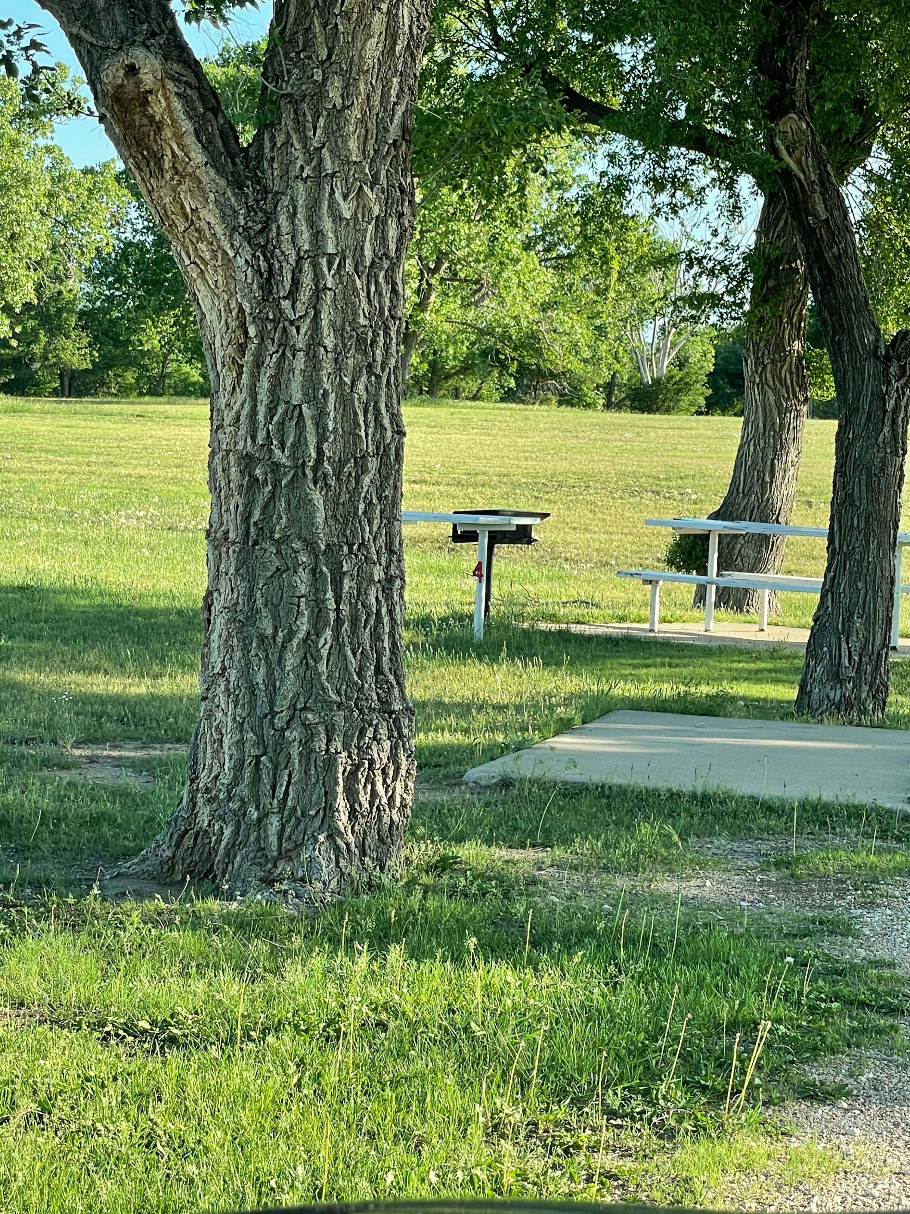 Camper submitted image from Wolf Creek Park - Perryton - 4
