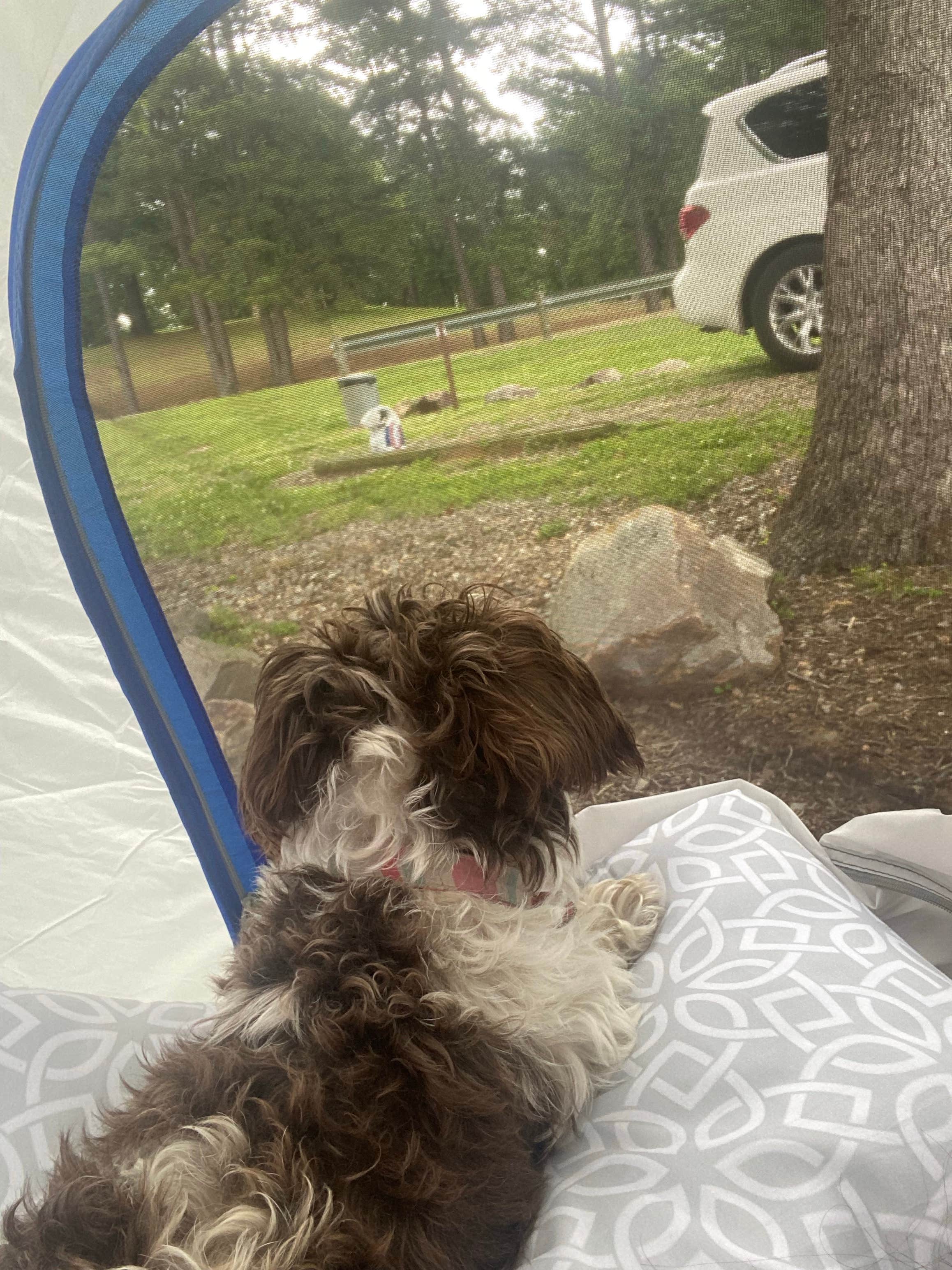 Camper-submitted photo at Pat Mayse Sanders Cove Recreations area near Arthur City, TX