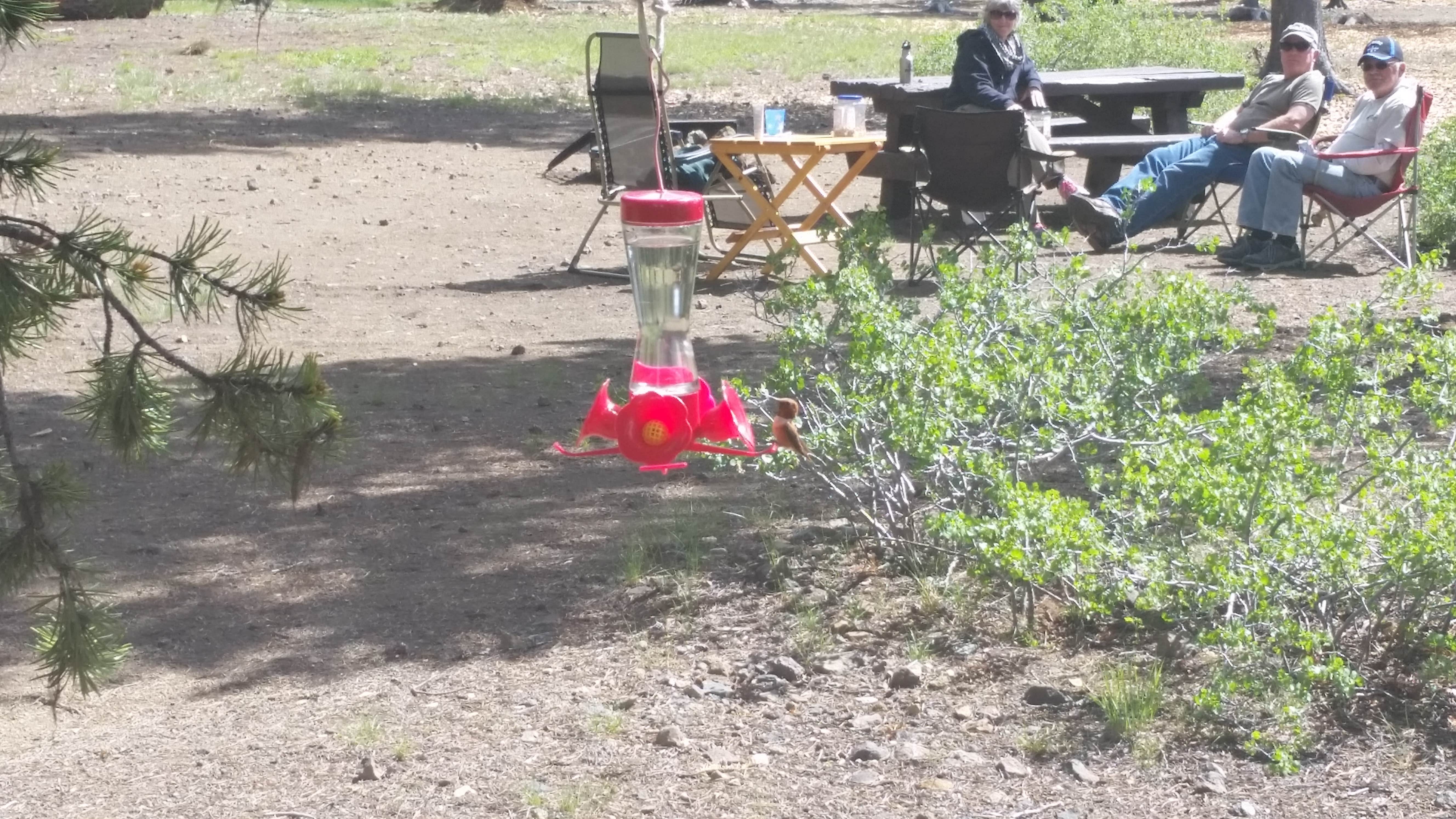 Camper submitted image from Newberry National Volcanic Monument - Deschutes NF - 2
