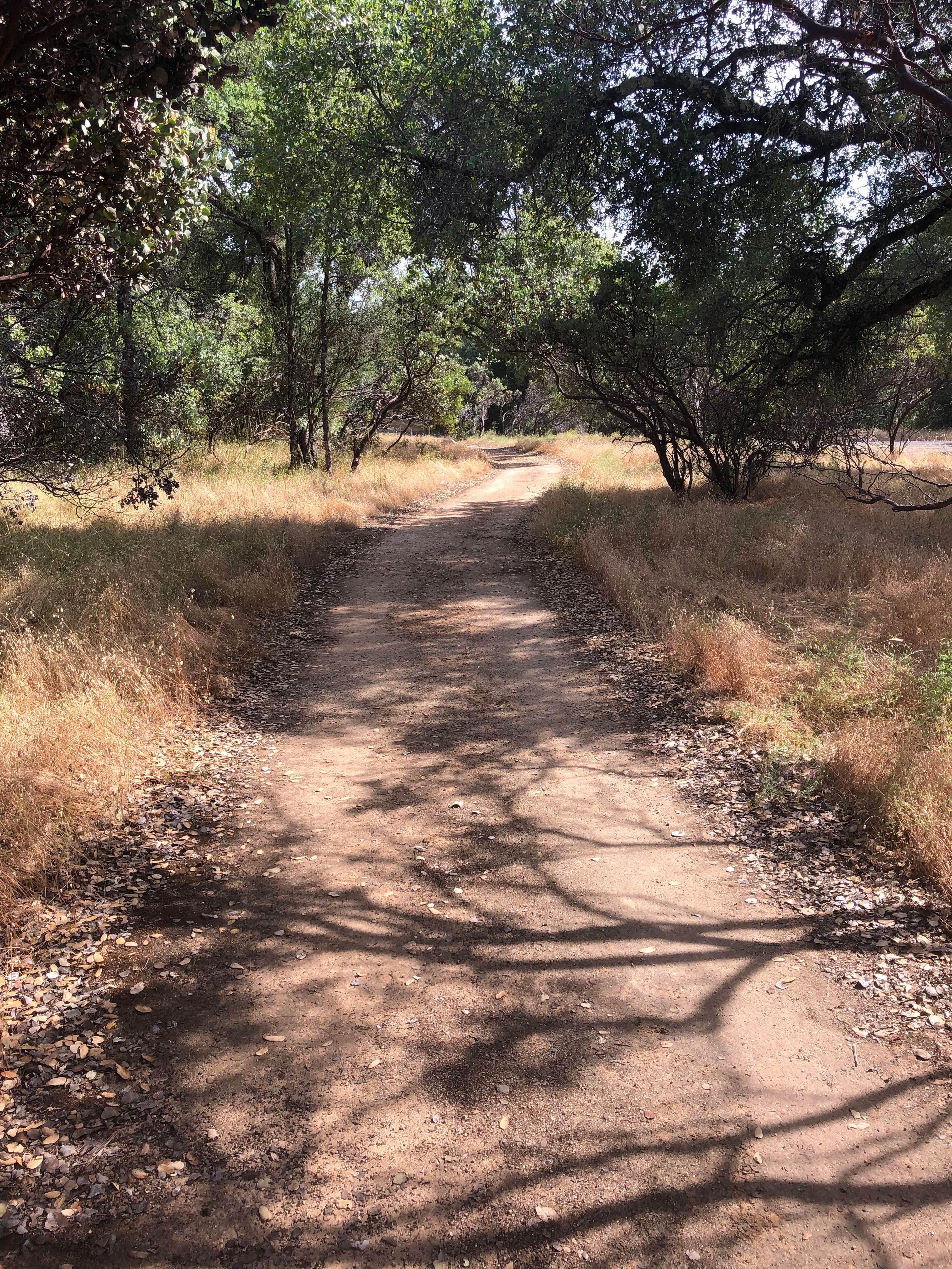Camper submitted image from Loafer Creek Horse Campground — Lake Oroville State Recreation Area - 3