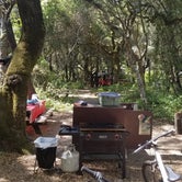 Review photo of Henry Cowell Redwoods State Park Campground by Stacie L., May 23, 2021