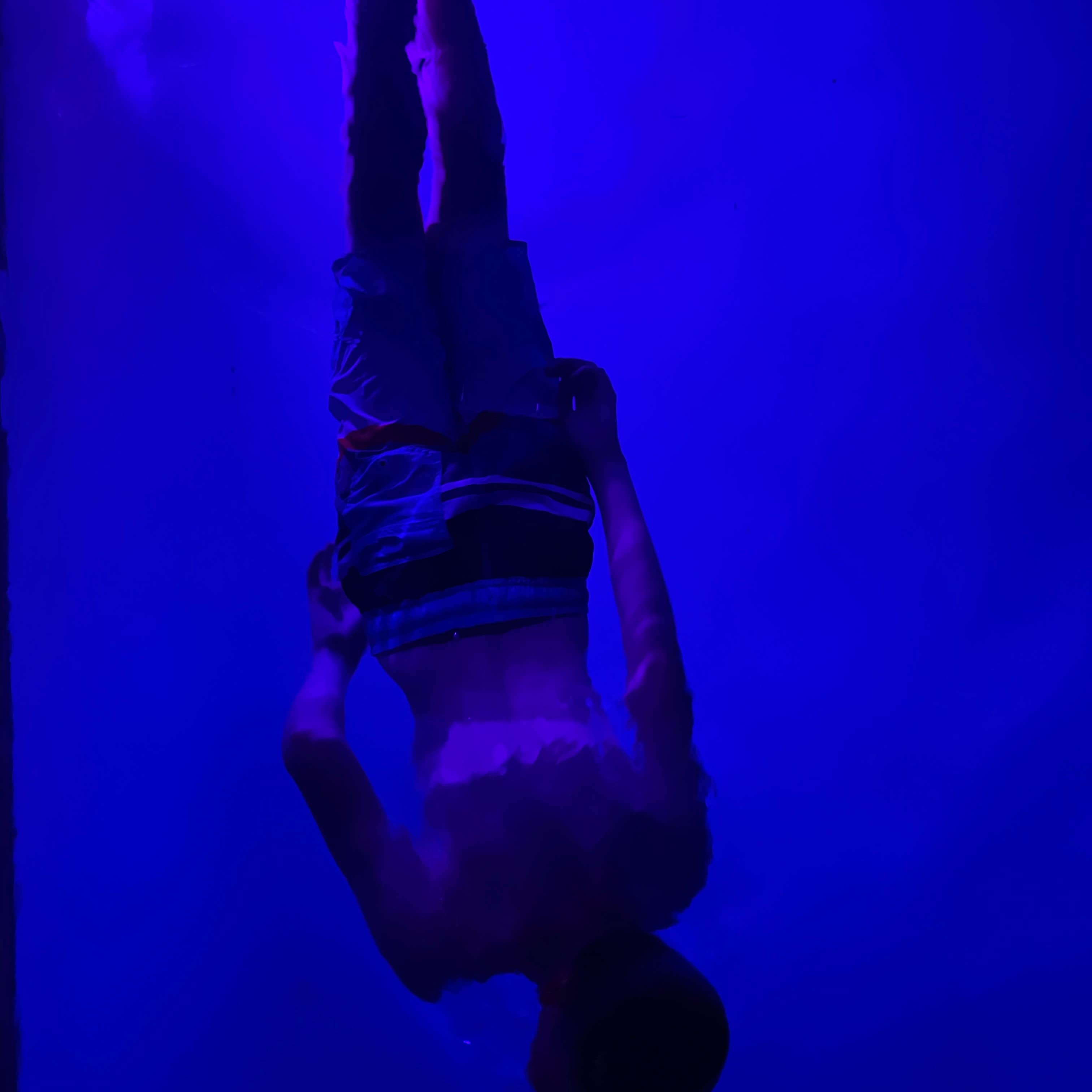 Catalina Spa & RV Resort | The Dyrt