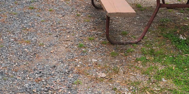 Camper submitted image from Summer Breeze Campground