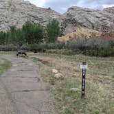 Review photo of Split Mountain Group Campground — Dinosaur National Monument by Greg L., May 21, 2021