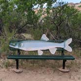 Review photo of Split Mountain Group Campground — Dinosaur National Monument by Greg L., May 21, 2021