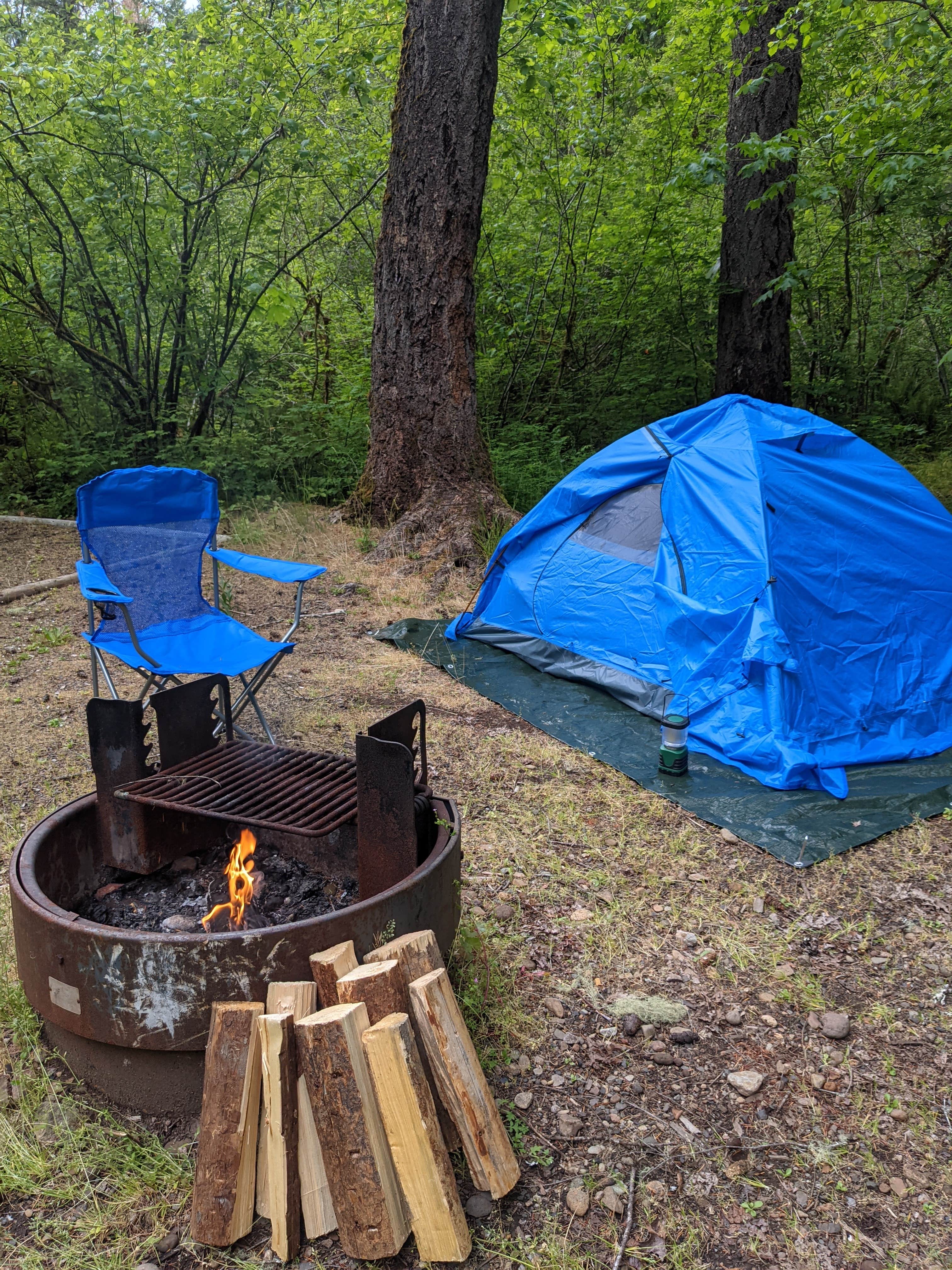 Mint's photo at Rujada Campground near Cottage Grove, OR