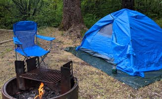 Mint's photo at Rujada Campground near Dorena Lake