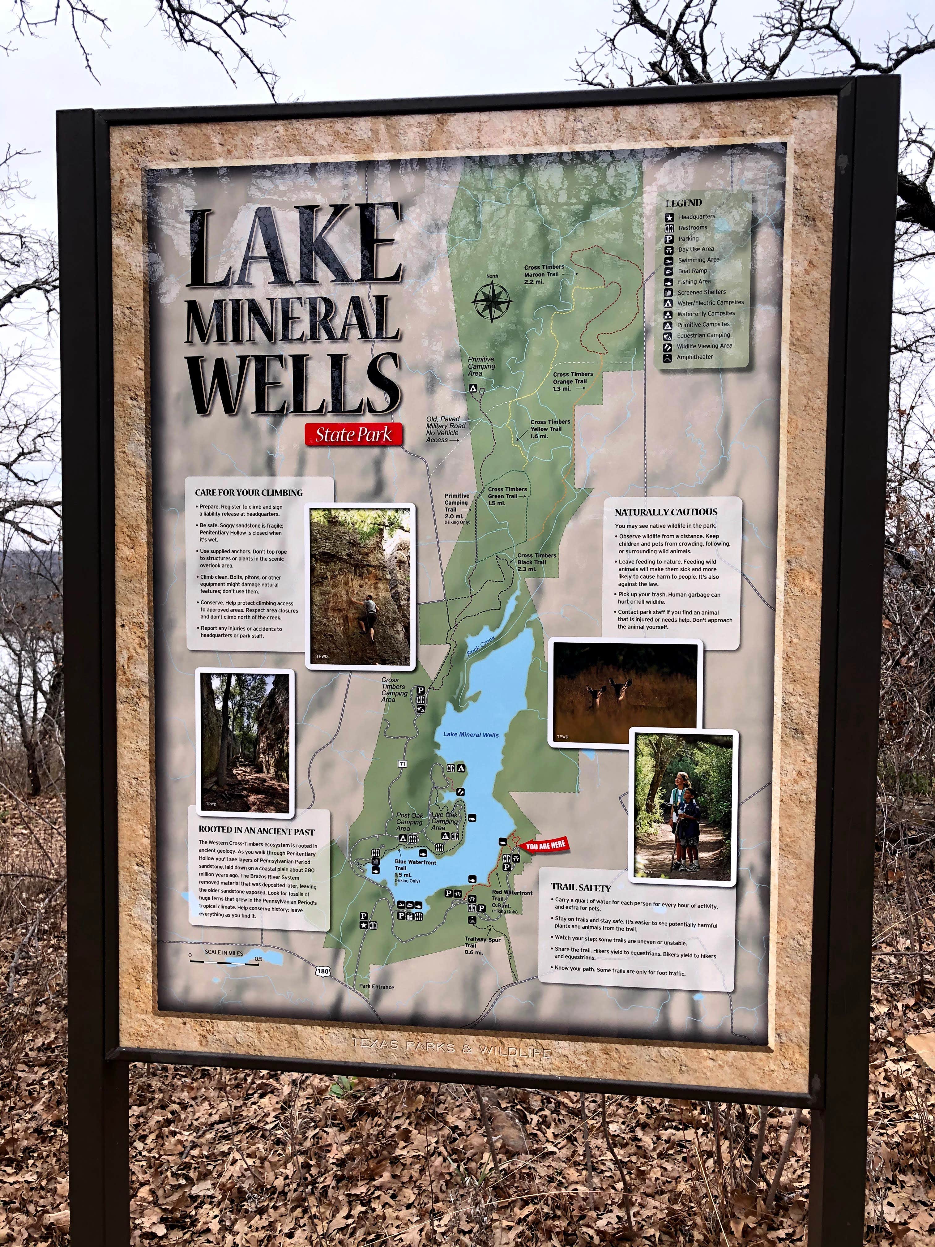 Camper submitted image from Cross Timbers — Lake Mineral Wells State Park - 5