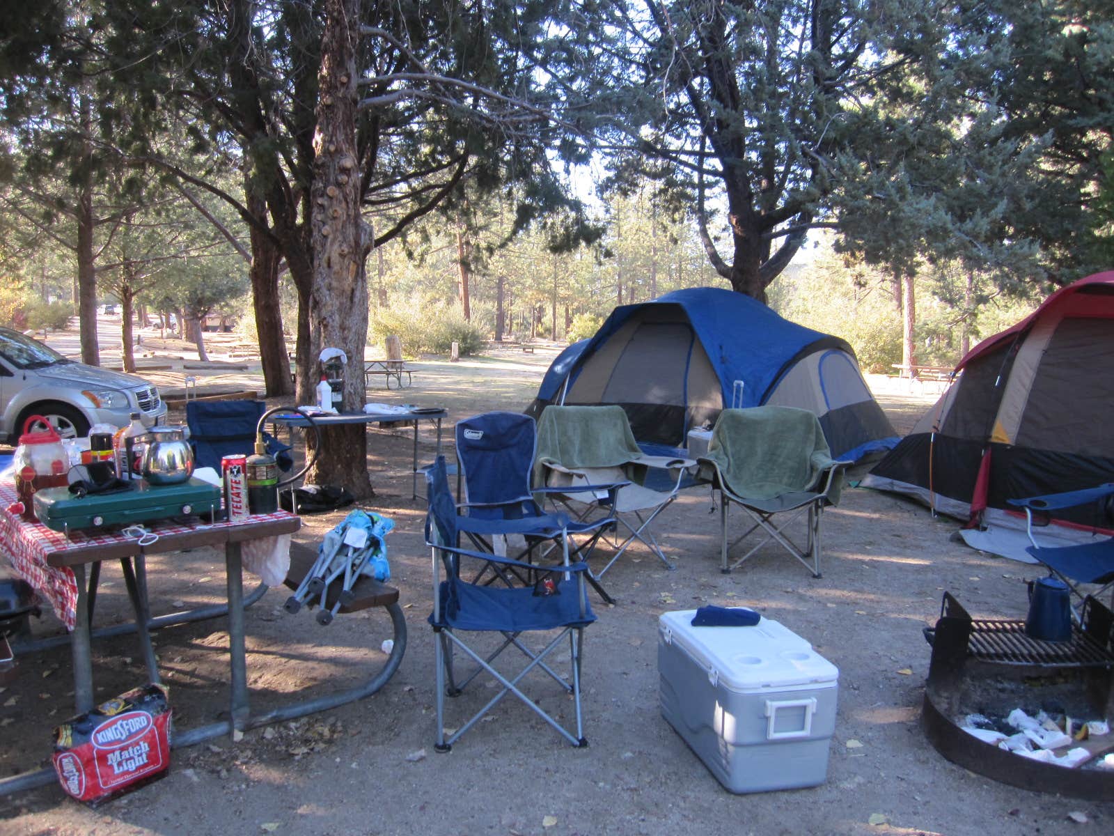 Taleen D.'s photo at Hurkey Creek Park near Mountain Center, CA