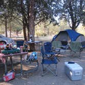 Review photo of Hurkey Creek Park by Taleen D., June 5, 2018