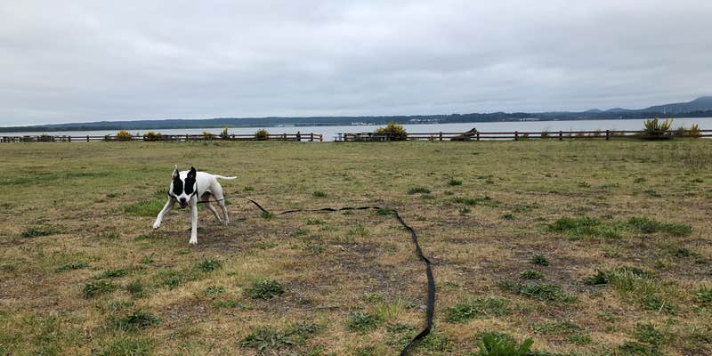 Camper submitted image from Bay View State Park Campground