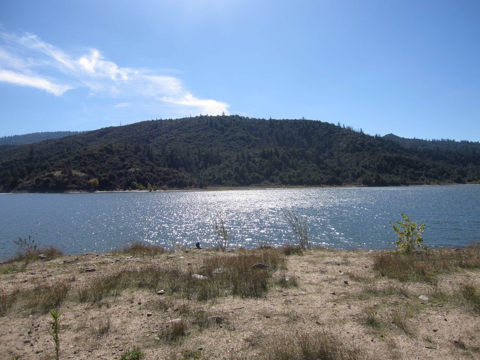 Hurkey Creek Park Camping | Mountain Center, CA