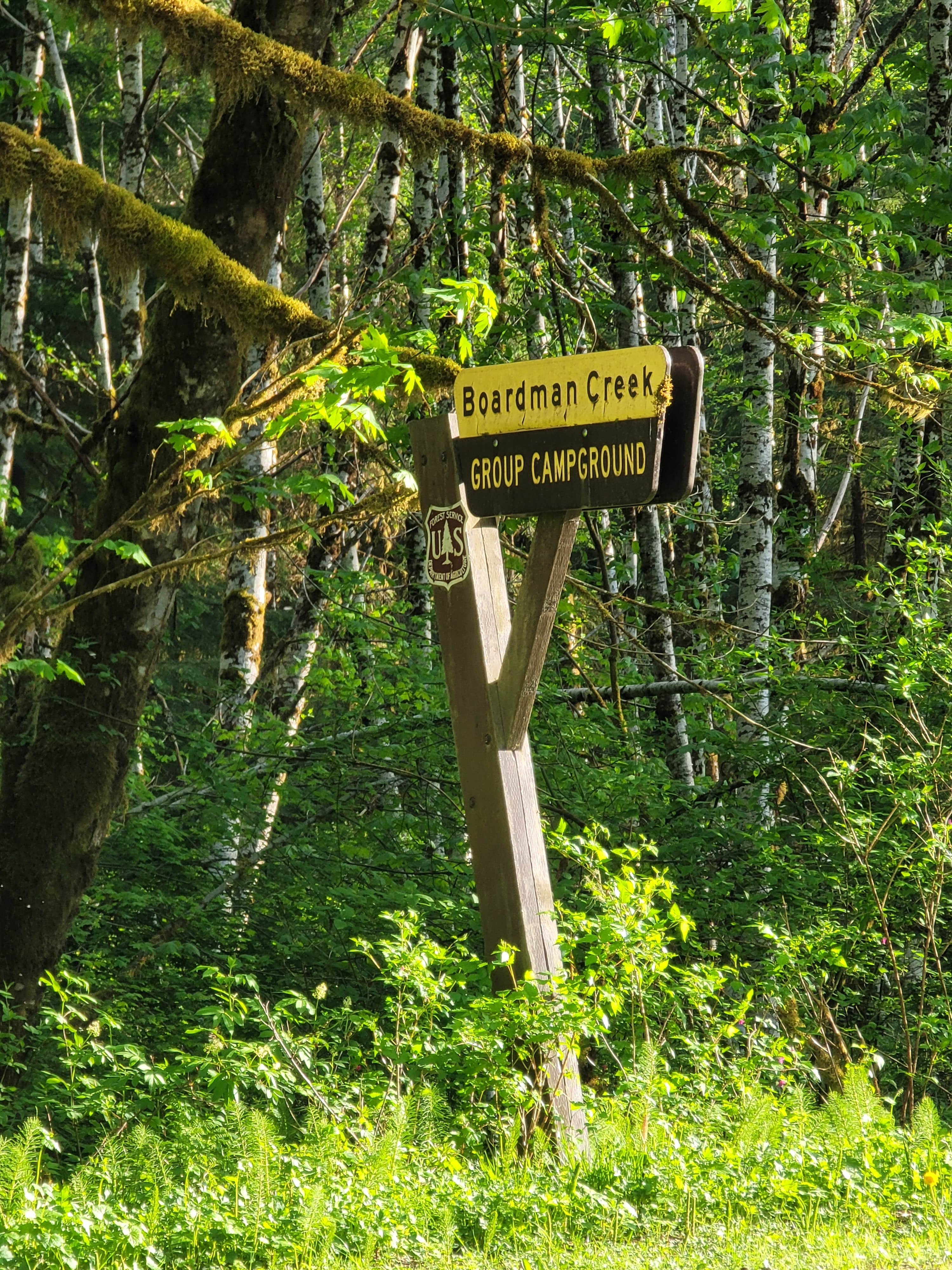 Camper submitted image from Boardman Creek Group Campground - 2