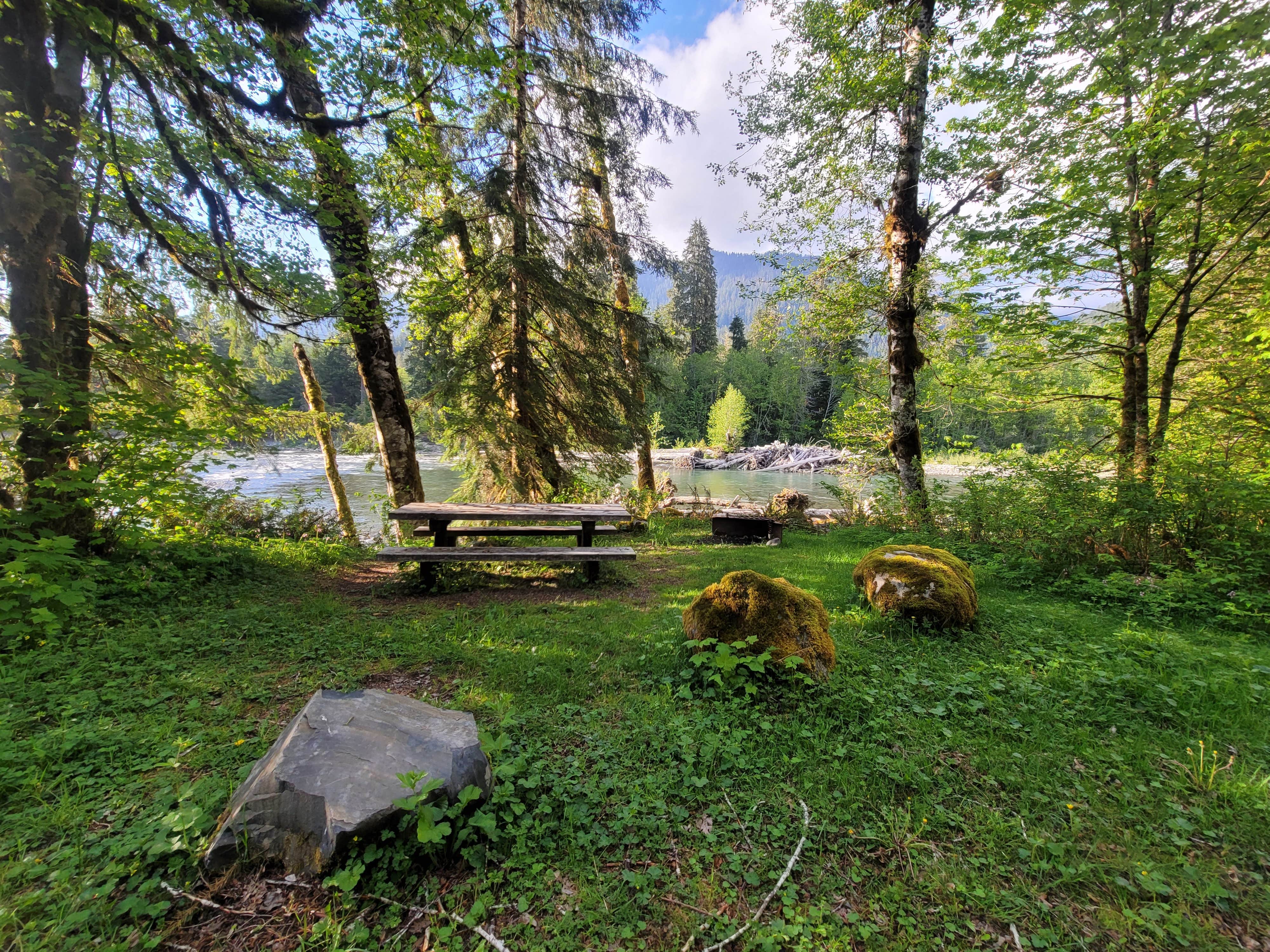 Camper submitted image from Boardman Creek Group Campground - 4