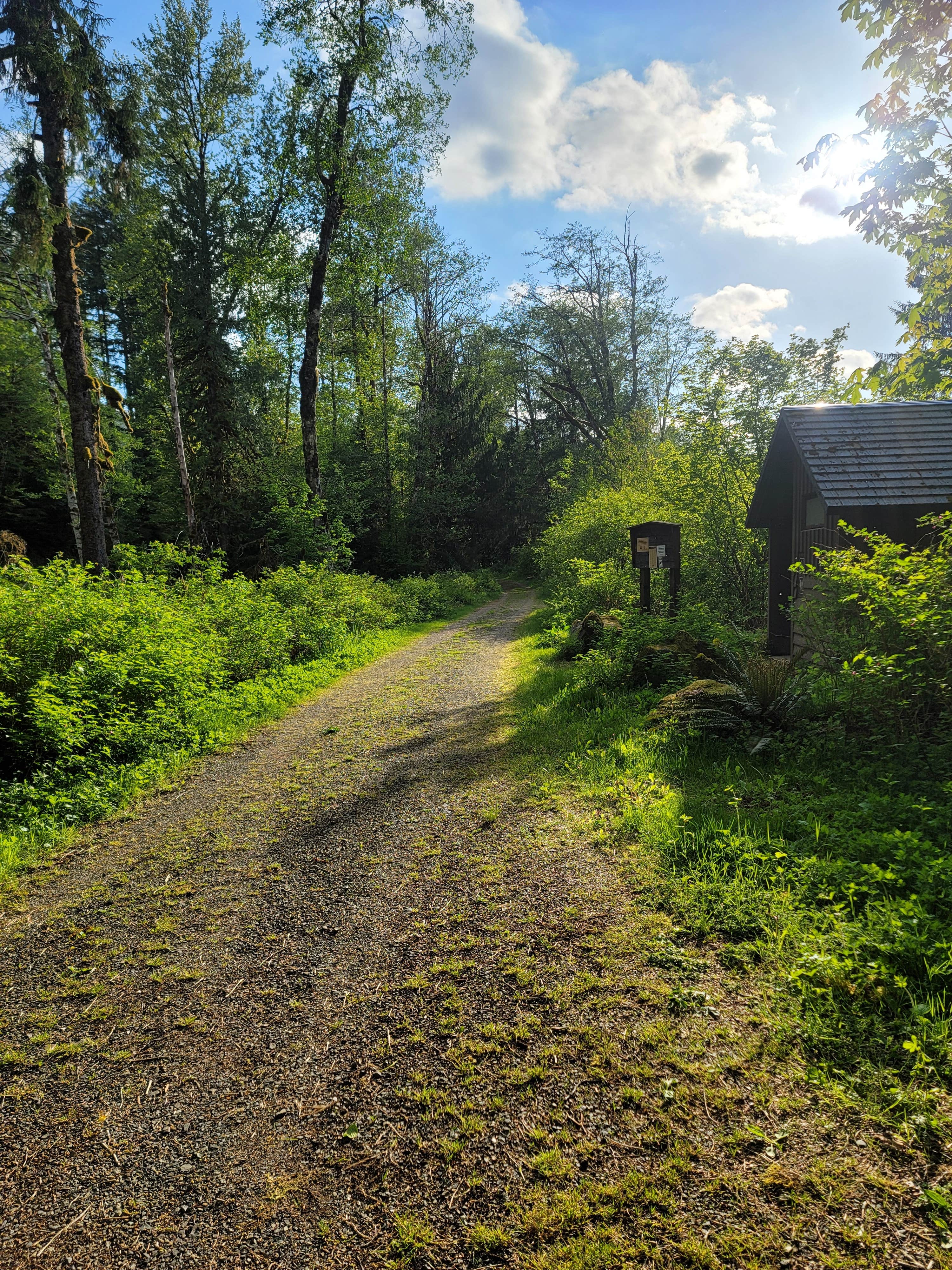 Camper submitted image from Boardman Creek Group Campground - 4
