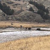 Review photo of Cottonwood Campground — Theodore Roosevelt National Park by David P., May 23, 2021