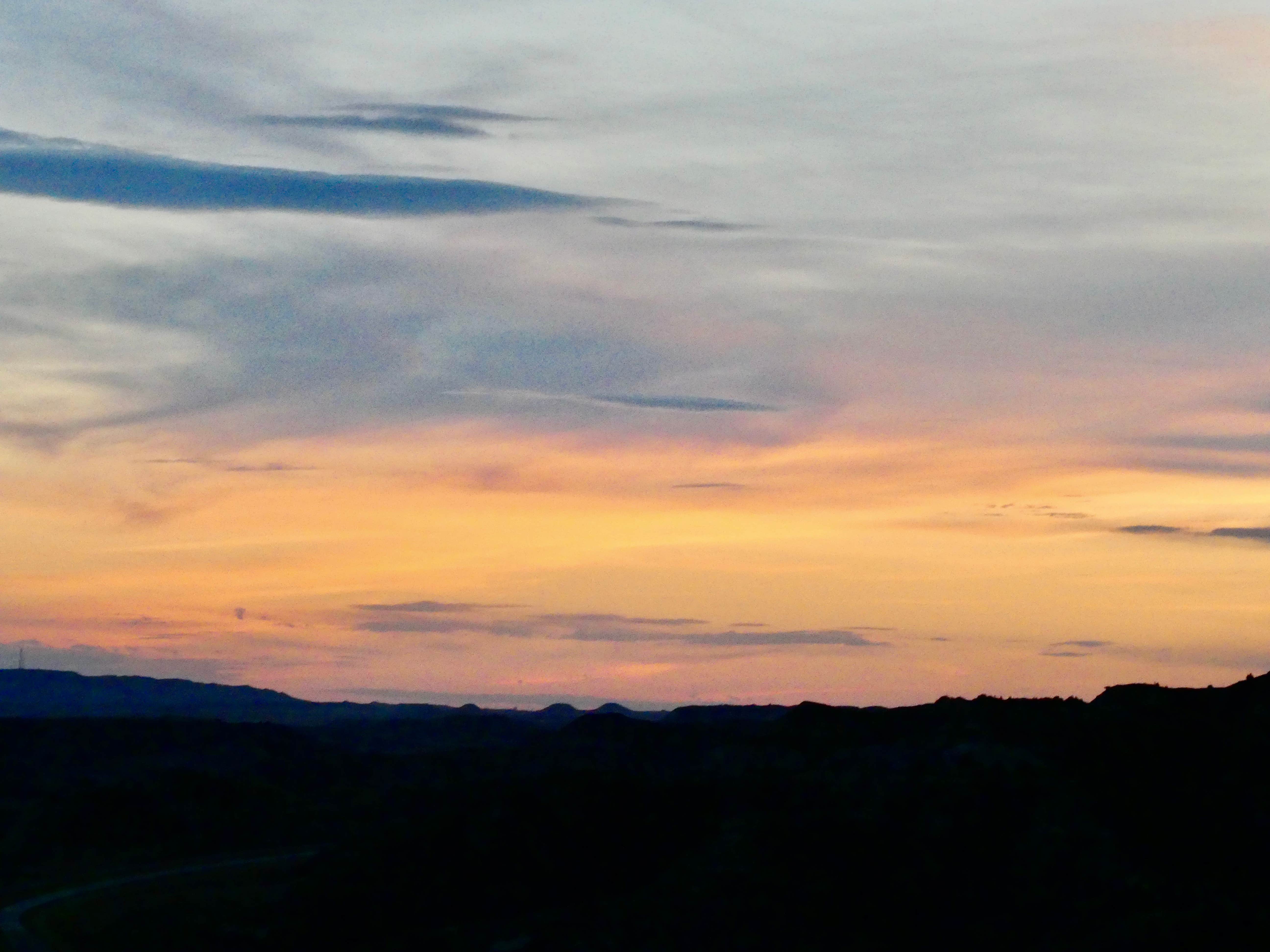 View All