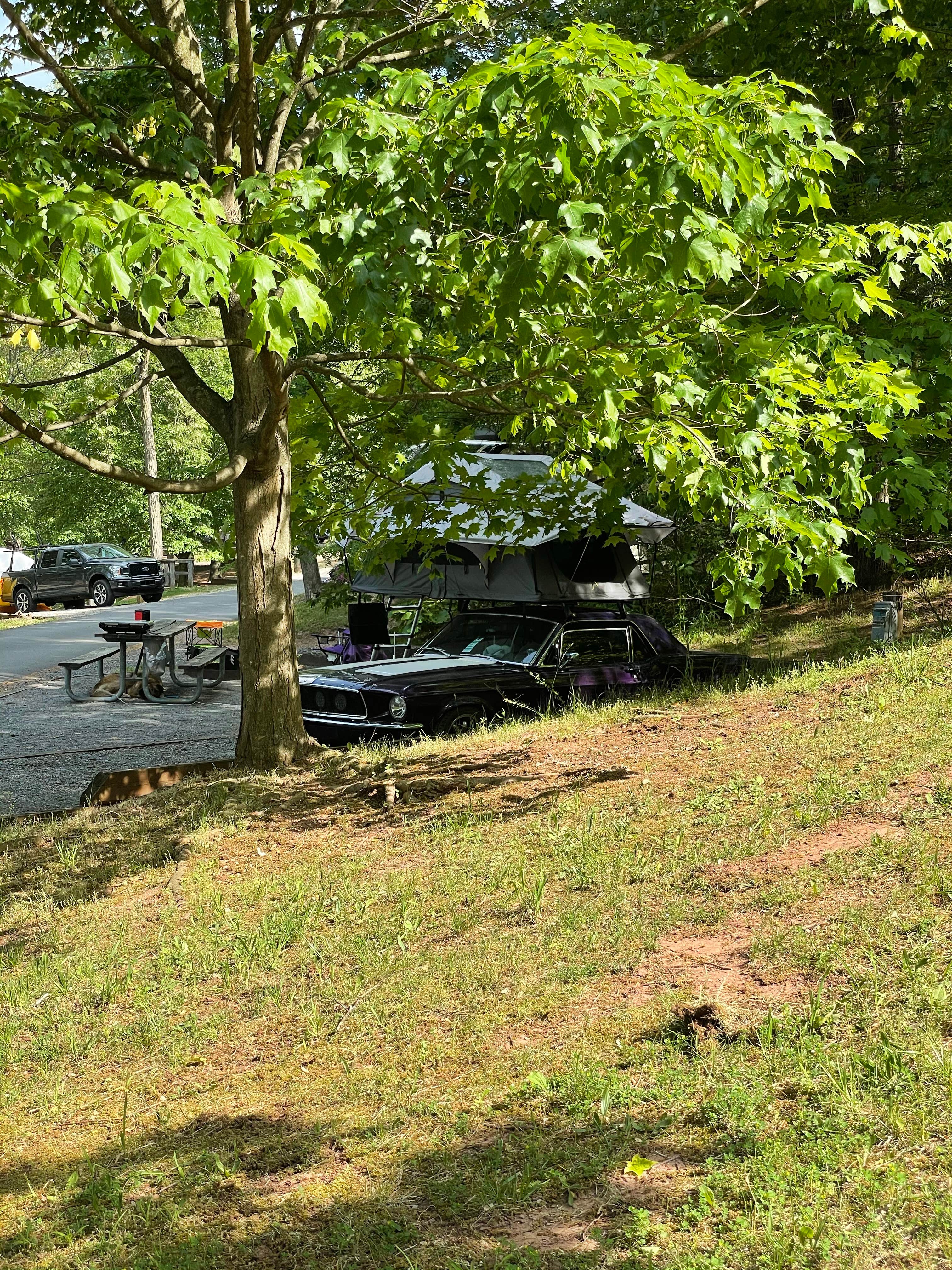 Best camping in Raystown Lake The Dyrt