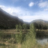 Review photo of James M. Robb Colorado River — Island Acres Section Camping by David P., May 23, 2021