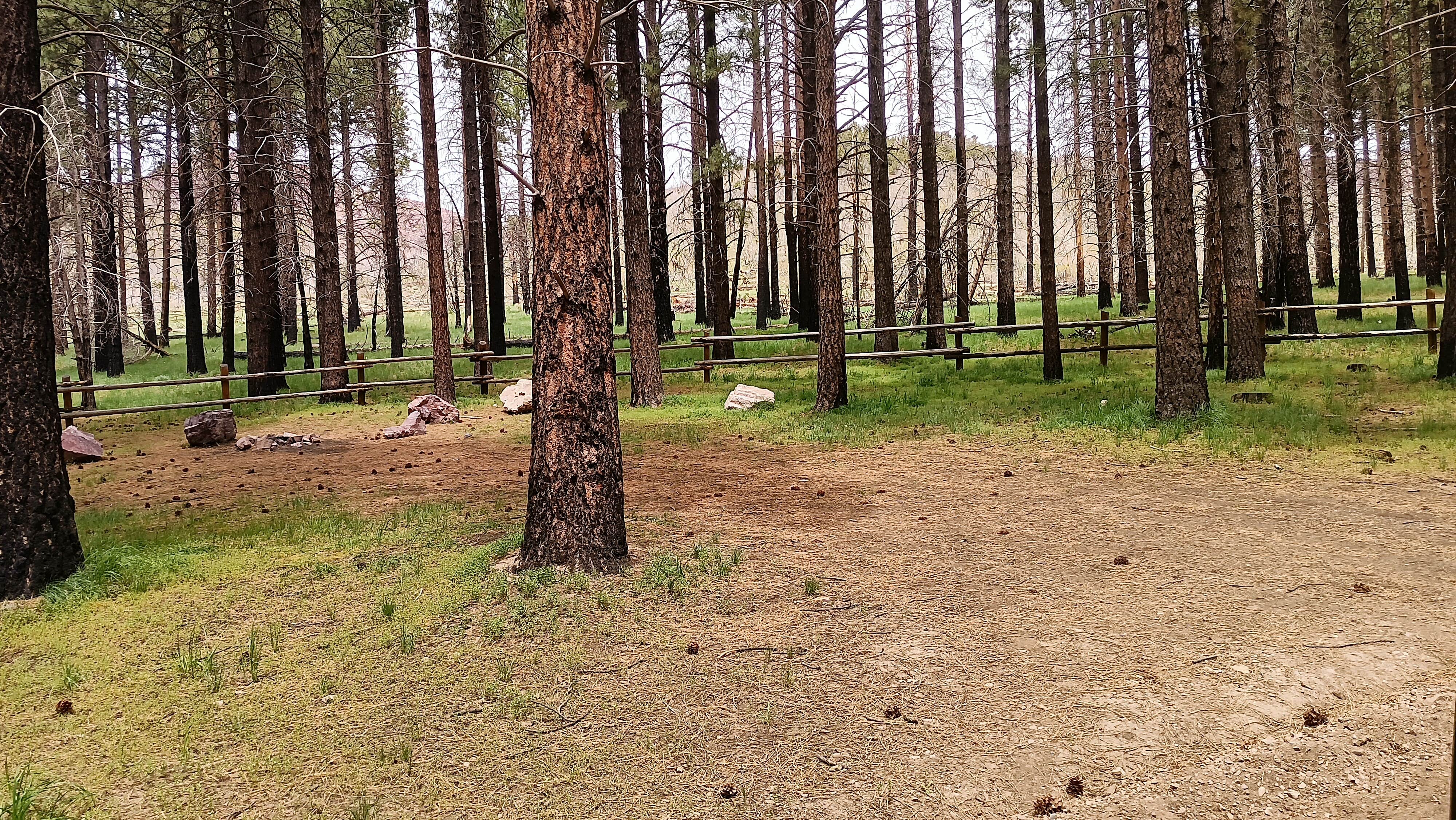 Camping near Painted Rocks Campground — Yuba State Park: Platnation Flat Campground, Oak City, Utah