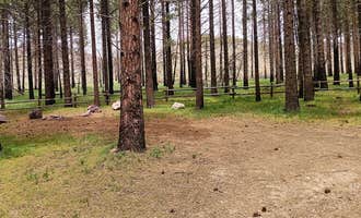 Camping near Jericho Picnic & Camping Area: Platnation Flat Campground, Oak City, Utah
