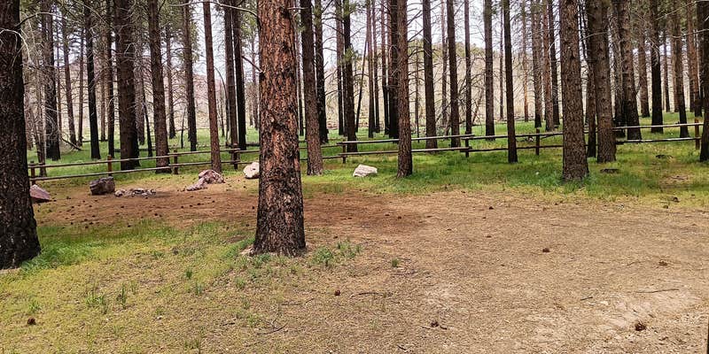 Camper submitted image from Platnation Flat Campground