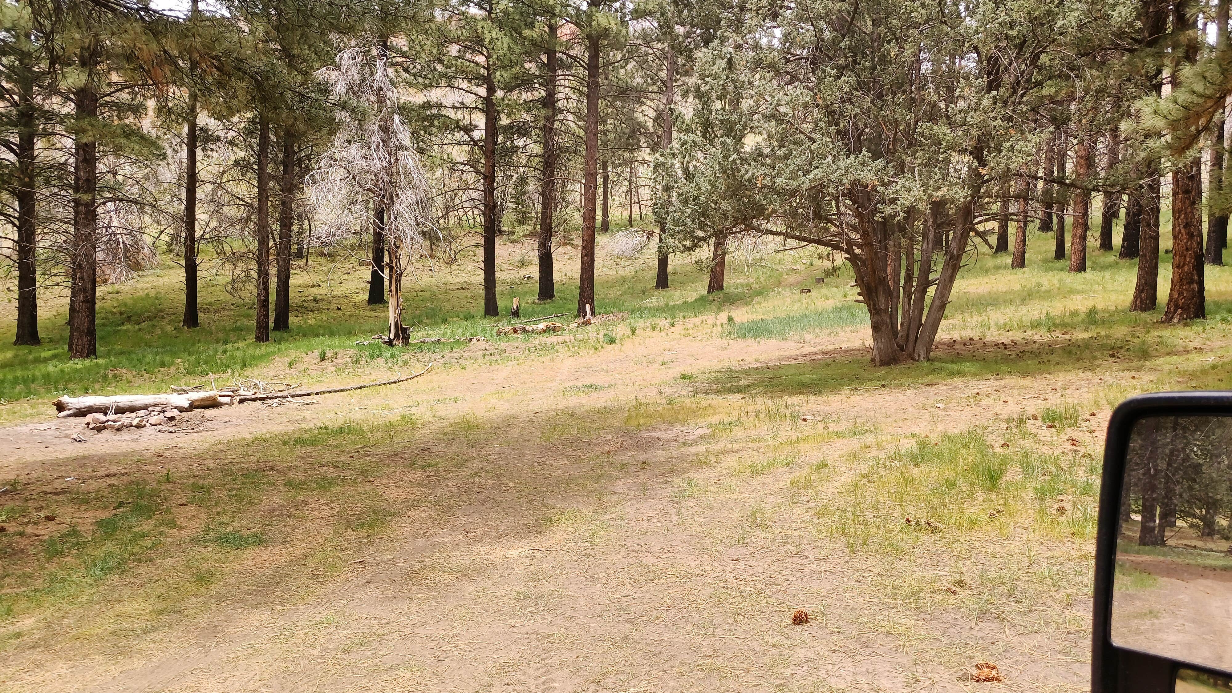 Camper submitted image from Fishlake National Forest Oak Creek Rec Site - 2