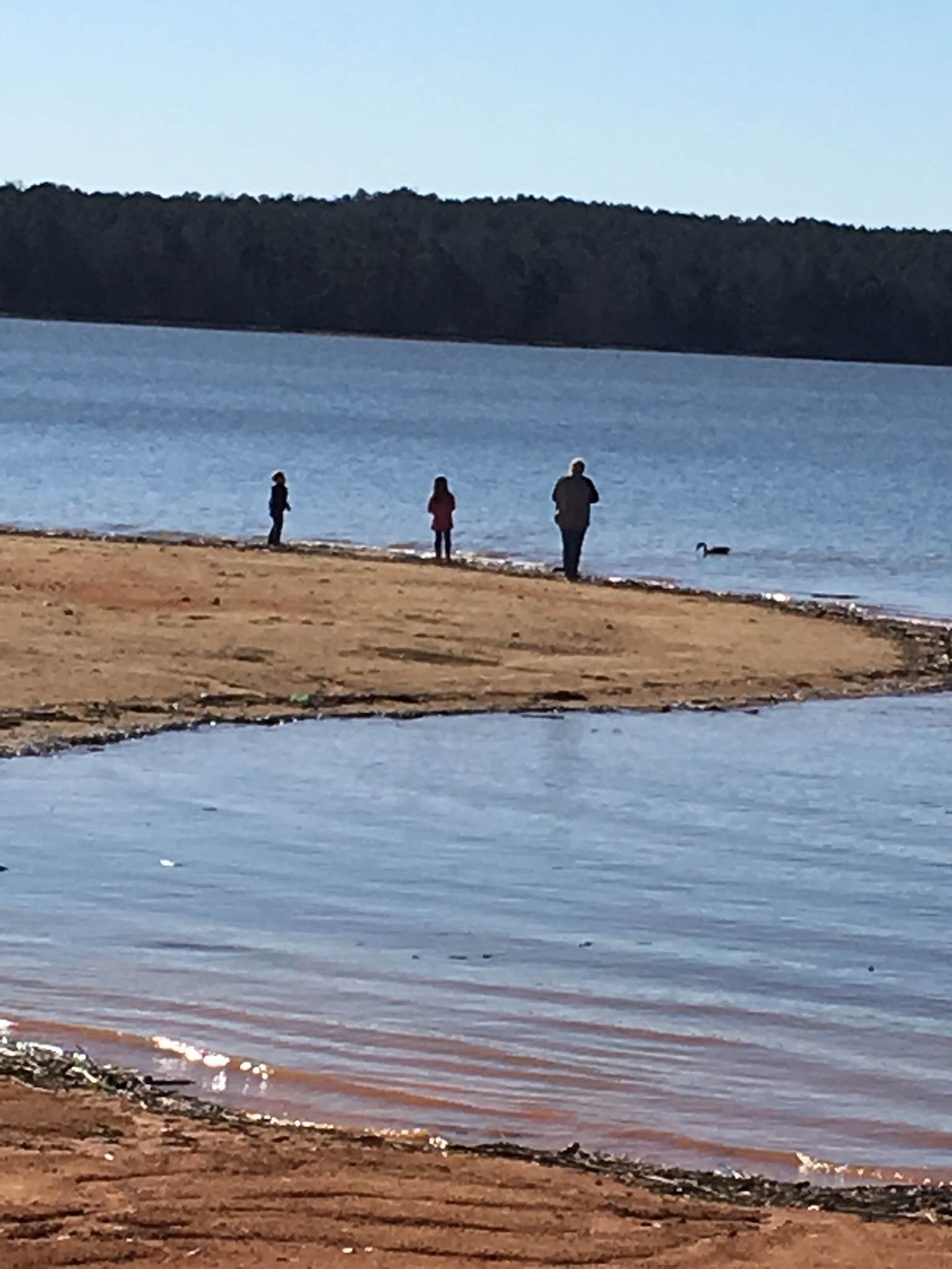 Camper submitted image from Wind Creek State Park Campground - 3