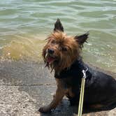 Review photo of Corinth Recreation Area by Genie C., May 24, 2021