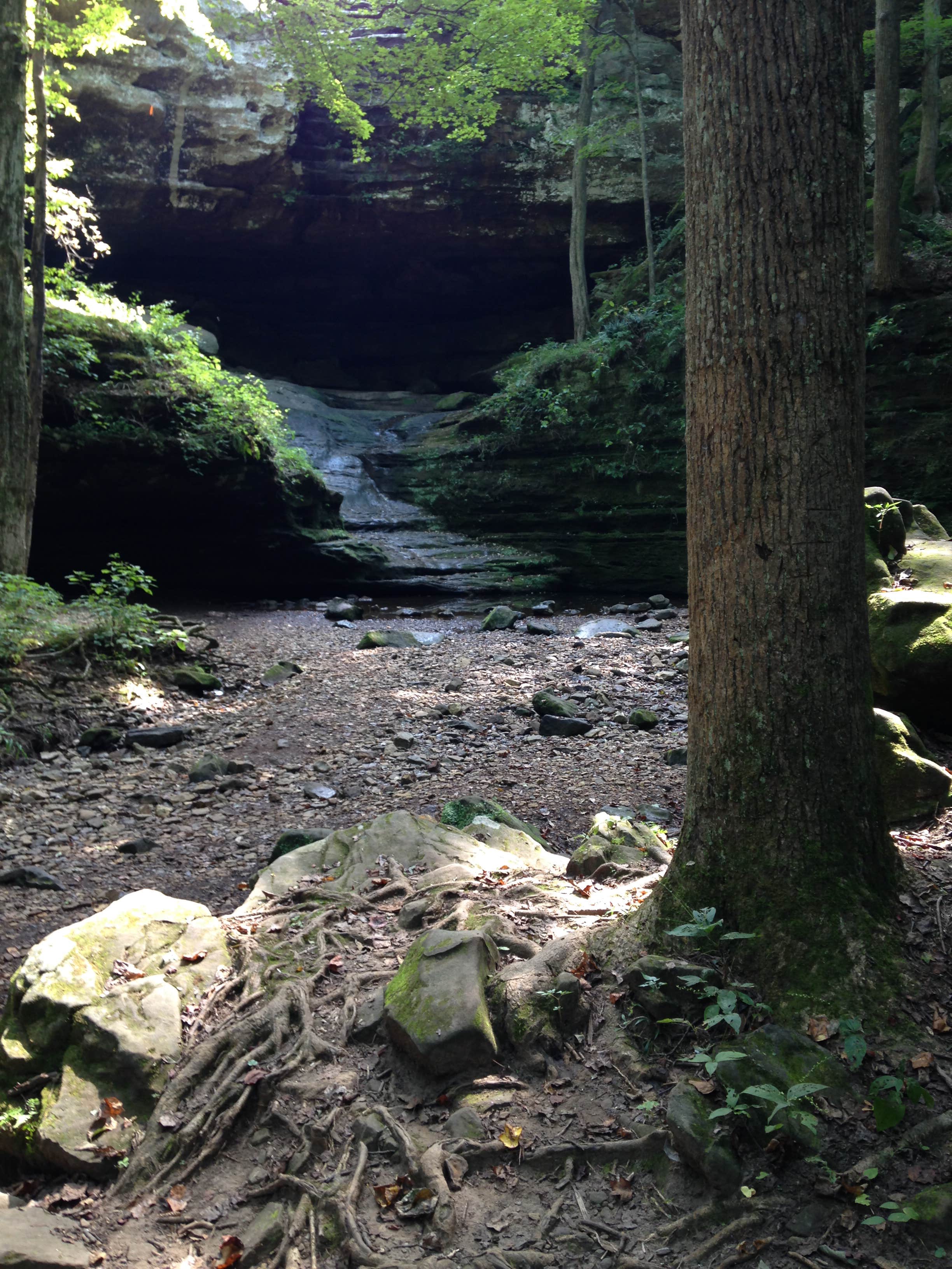 Camper submitted image from Group Campground — Ferne Clyffe State Park - 5